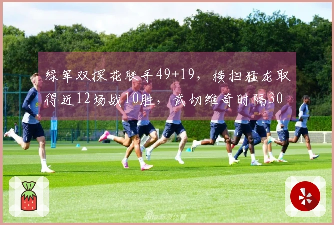 绿军双探花联手49+19，横扫猛龙取得近12场战10胜，武切维奇时隔30天重返赛场