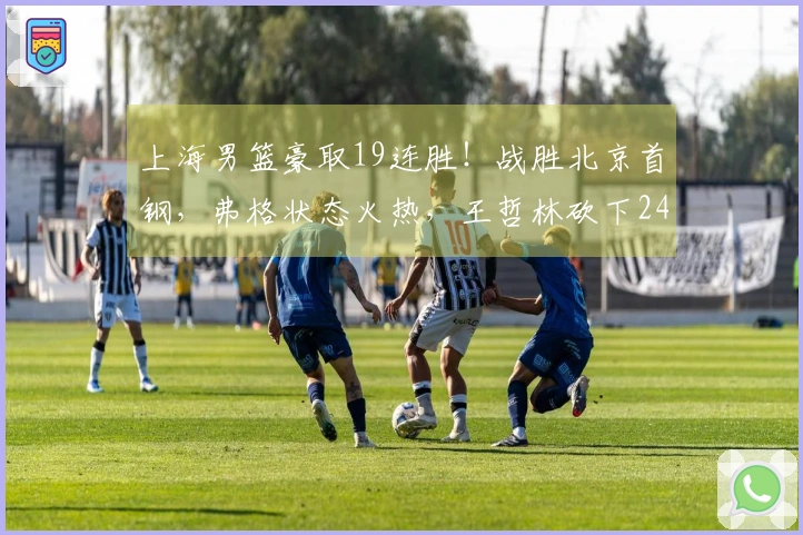 上海男篮豪取19连胜！战胜北京首钢，弗格状态火热，王哲林砍下24分17篮板