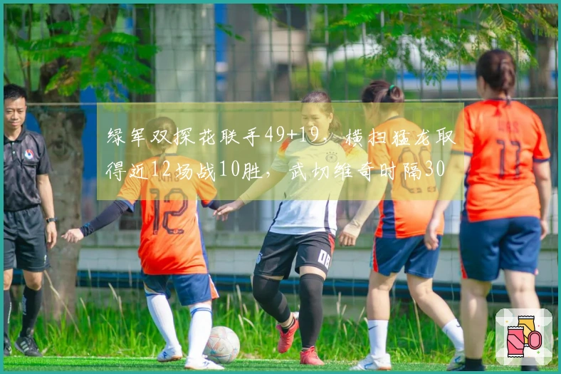 绿军双探花联手49+19，横扫猛龙取得近12场战10胜，武切维奇时隔30天重返赛场